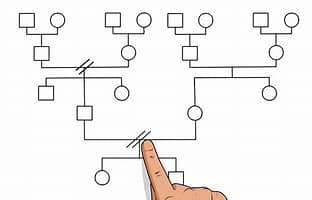 Coaching, Lebensberatung Renate Söldner